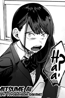 The Prince and the Sharp Girl