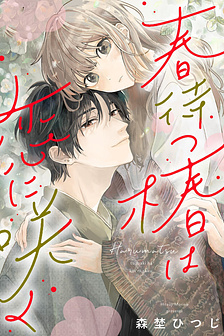 Hoa Trà Đợi Xuân Nở Yêu Thương