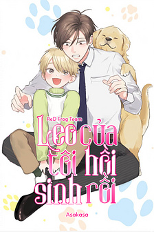 Leo của tôi hồi sinh rồi!