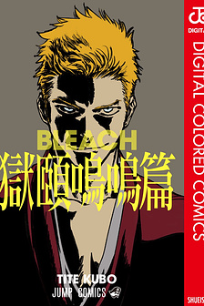 Bleach New Special One-Shot!
