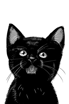 Mèo đen Jiumin (Hoàn thành)