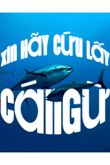 Xin hãy cứu lấy cá ngừ