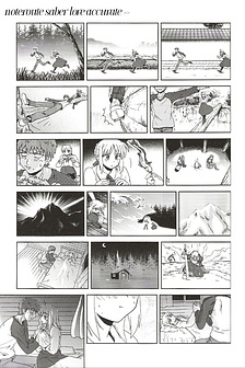 Fate/stay night-Pregnant servant 