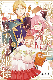 Hiệp sĩ u sầu và công chúa mộng mơ