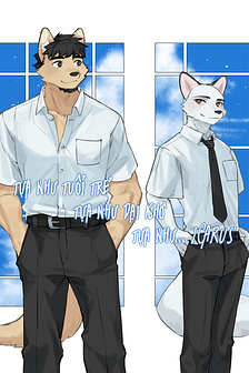 Tựa tuổi trẻ, tựa dại khờ, tựa như... Icarus