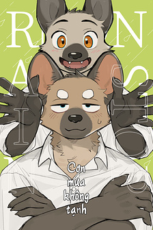 Cơn mưa không tạnh