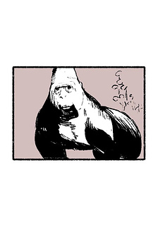 Con Gorilla này sẽ chết sau 1 ngày