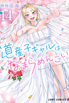 Dosanko Gal wa Namara Menkoi